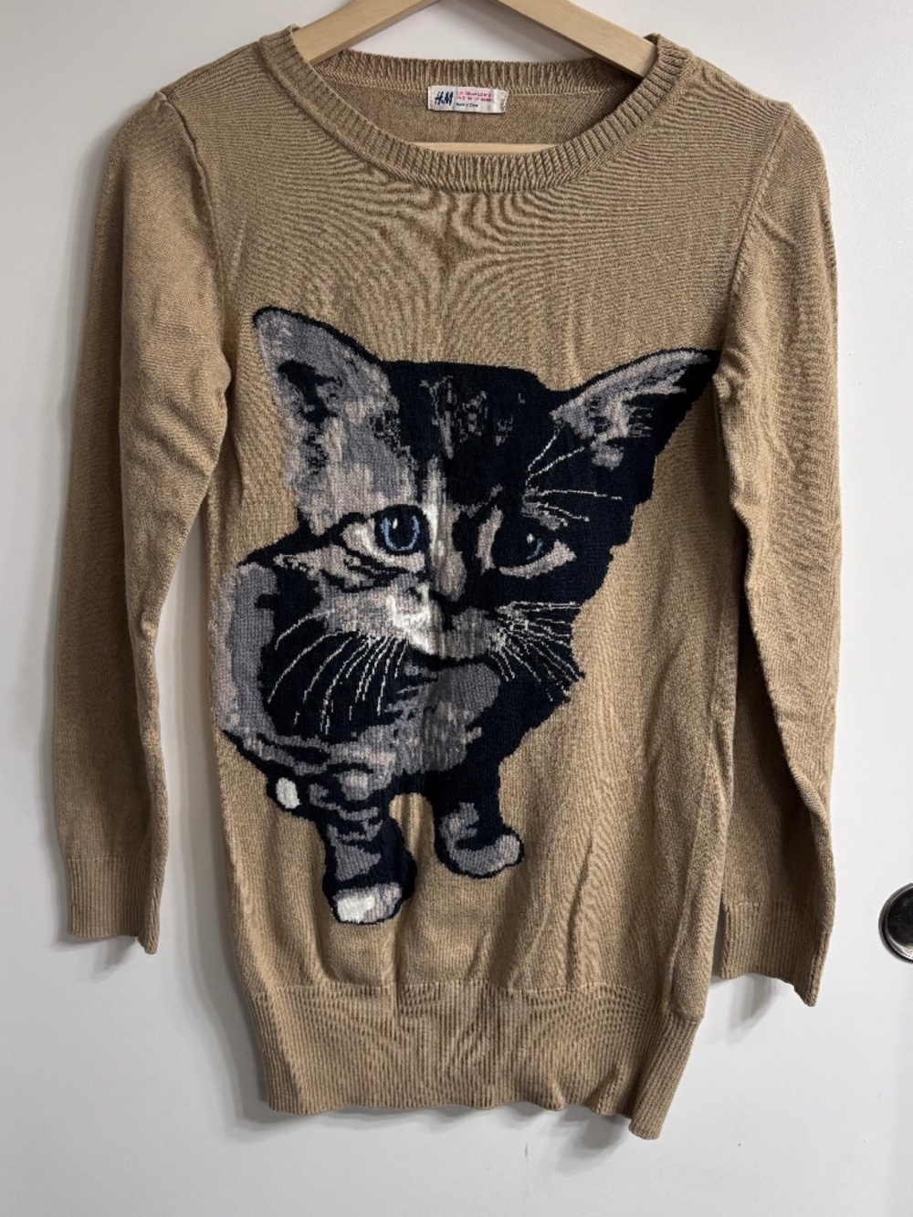 H&M Tan Kitten Graphic Knit Sweater Blue Eyes Sz 12-14Y